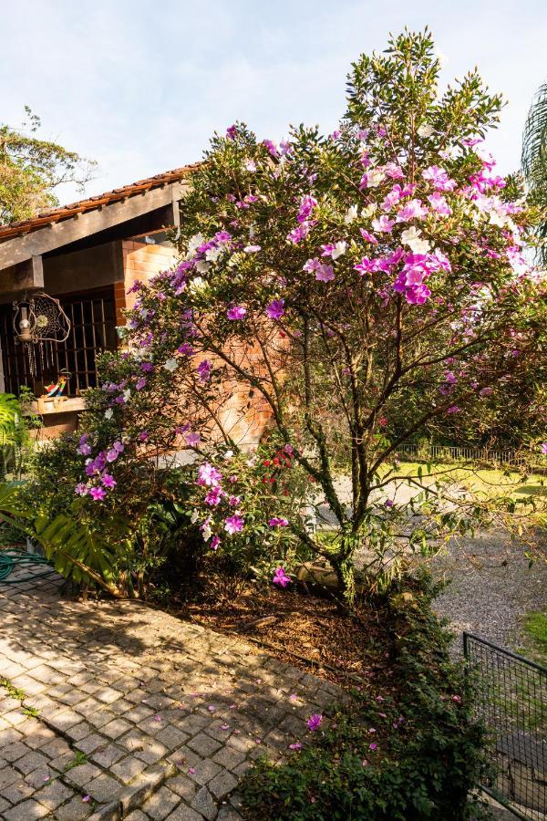 Gajah Joinville Exterior foto